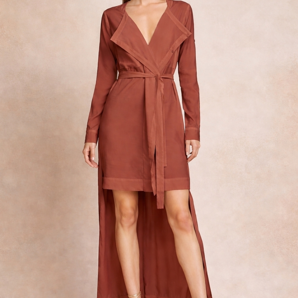 Elegant Brown Long Sleeve Dress
